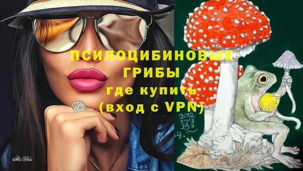 альфа пвп Верхнеуральск