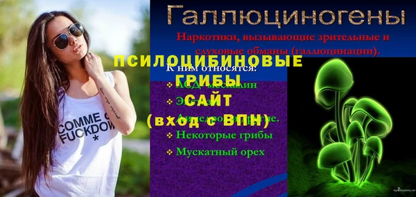 МДПВ Верея