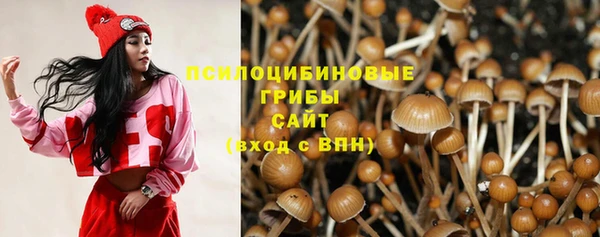 кристаллы Тында
