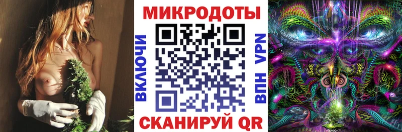 Купить где  Пермь  Псилоцибиновые грибы Cubensis 